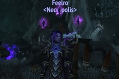 Feelro